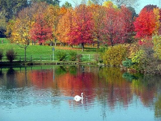 Public Pellerina Park